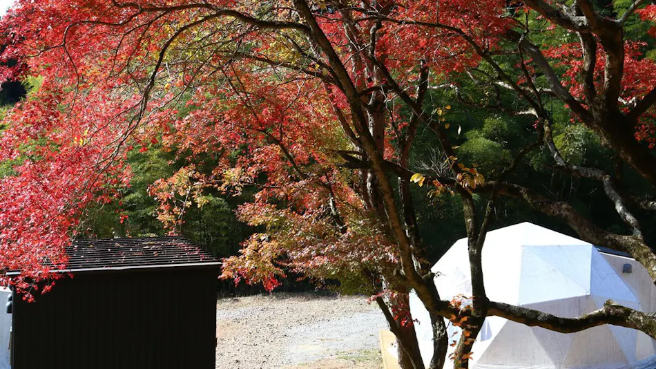 Satoyama Glamping Musubi