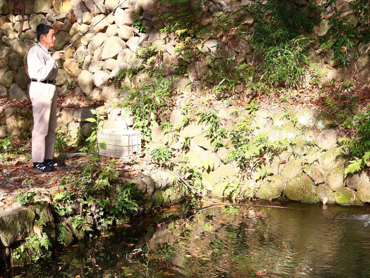 Satoyama Glamping Musubi