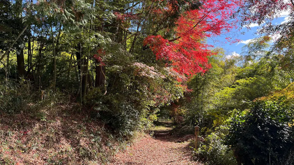 Satoyama Glamping Musubi