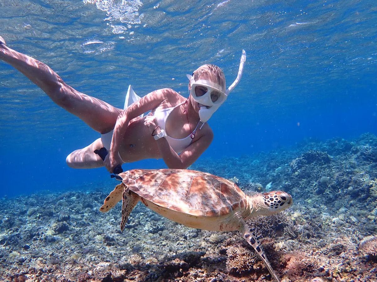 Bagaimana kalau berenang bersama penyu di laut Zamami?