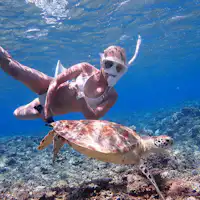 Bagaimana kalau berenang bersama penyu di laut Zamami?