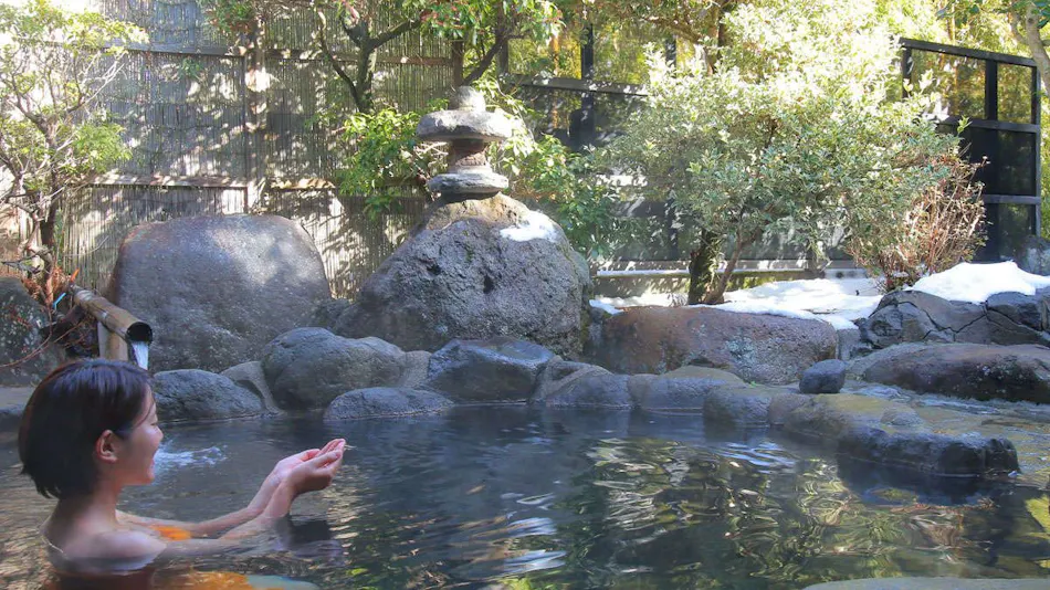 Travel Accommodation Yamatsubaki