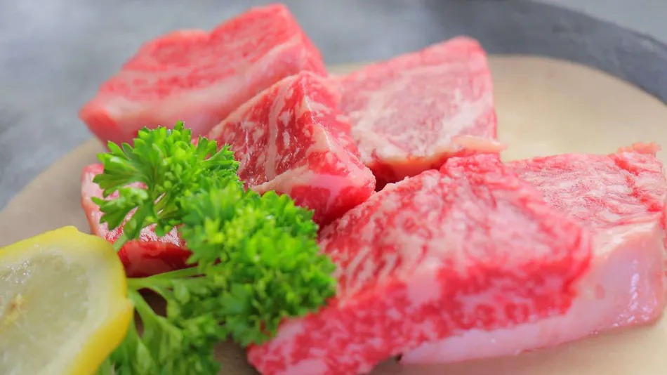 Travel Accommodation Yamatsubaki