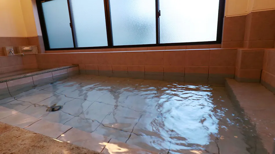 Hotel Izu Kansya
