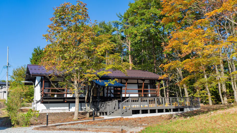 Forest Office Living