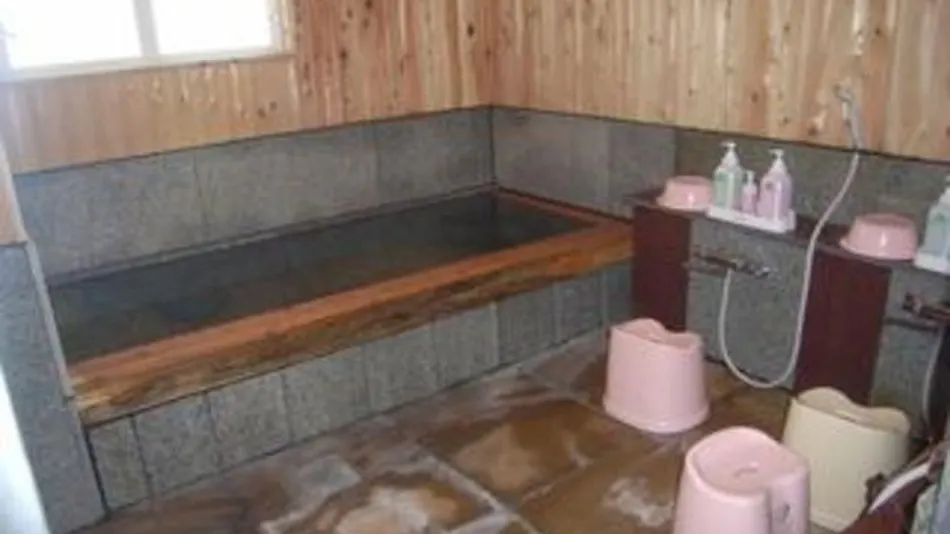 Ore & Mineral “Arashi-no-Yu” Therapeutic Bath Lodge – Annex No. 2