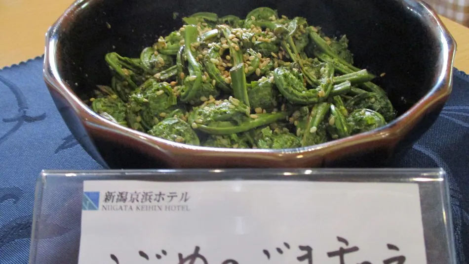 Niigata Keihin Hotel