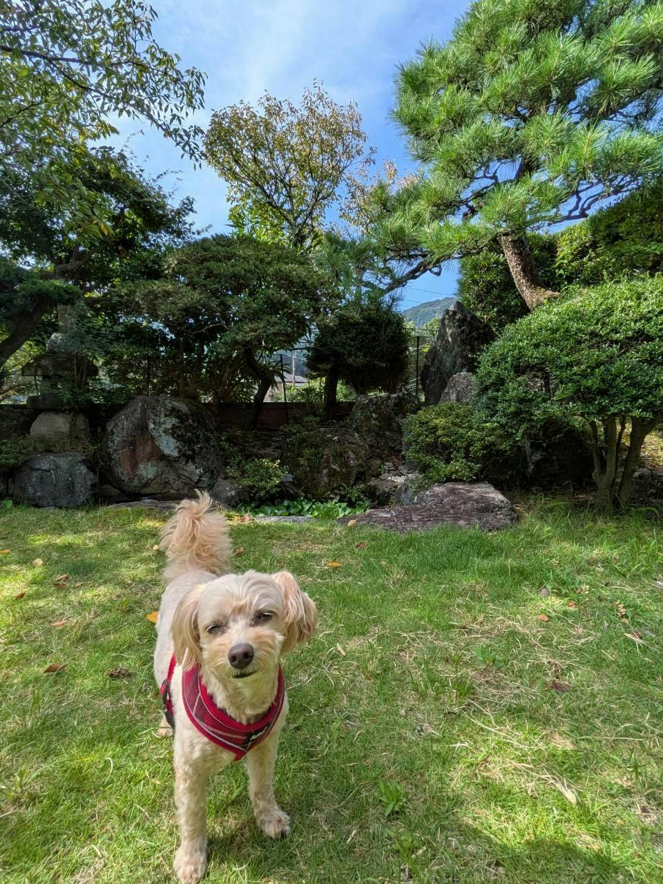 Garden Villa Nagomi