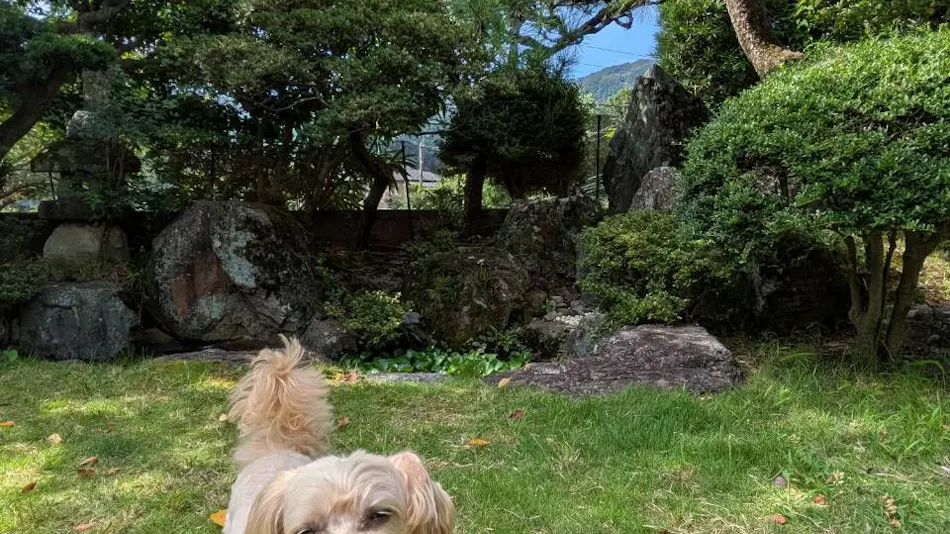 Garden Villa Nagomi
