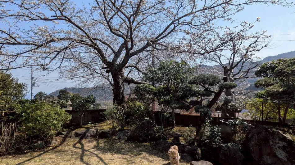 Garden Villa Nagomi