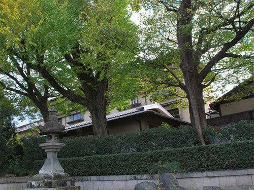京都府 泊まってよかった 4人部屋プランのあるおすすめ旅館 ホテル予約 Biglobe旅行