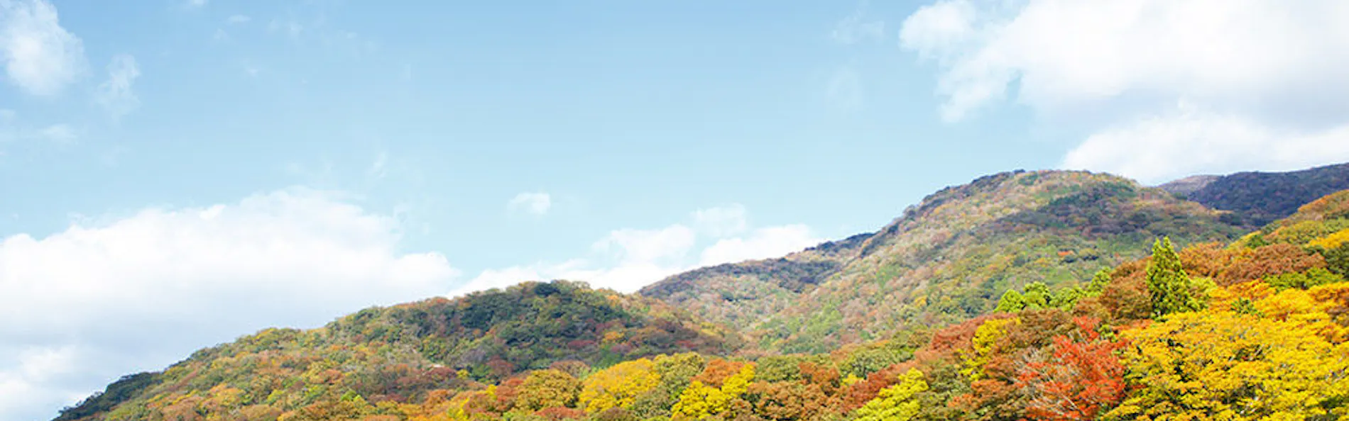箱根ホテル