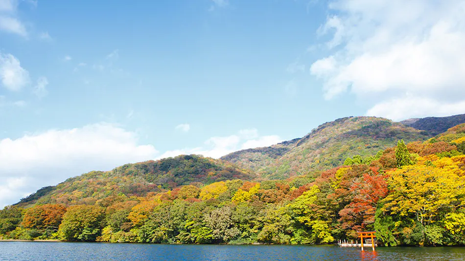 Hakone Hotel