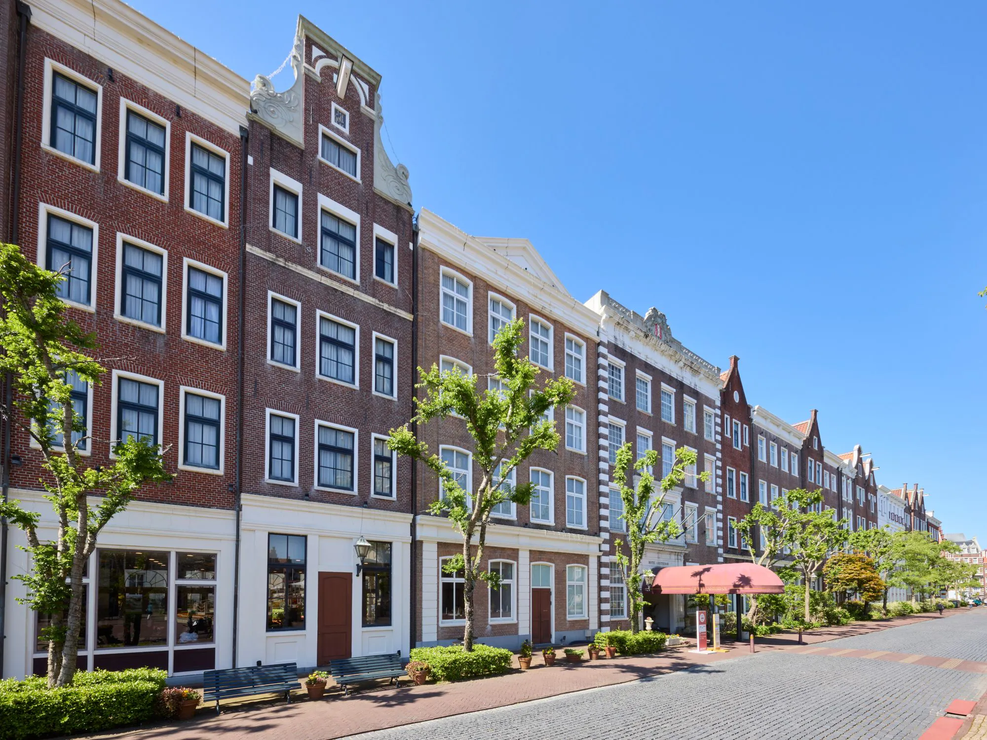 ลักษณะภายนอก