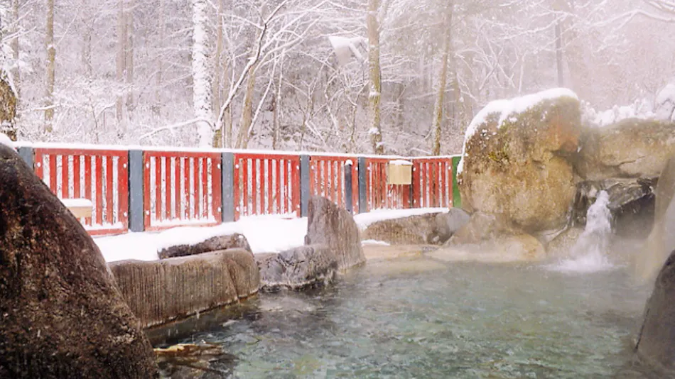 Irori Kaiseki and Juhyo Inn Fudo Onsen Hanabishi