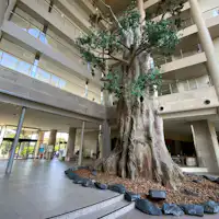 ロビーにある屋久杉のオブジェ