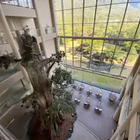 館内から見る山側の景色