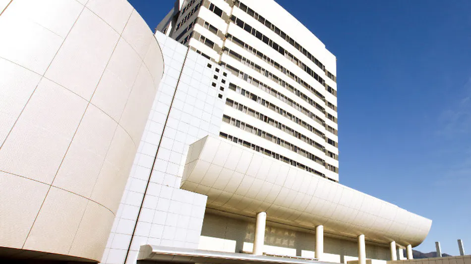 Kofu Anniversary Hotel