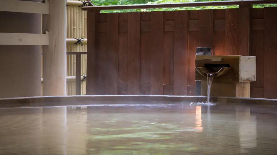 Hanamaki Onsen Kashoen