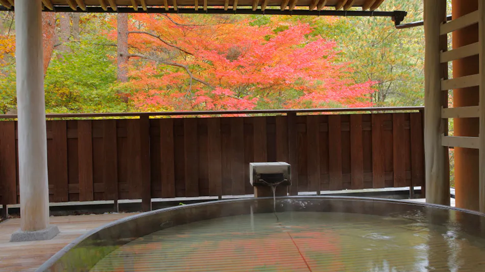 Hanamaki Onsen Kashoen