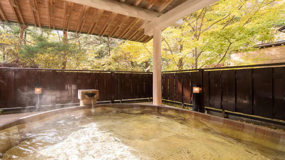 Hanamaki Onsen Kashoen