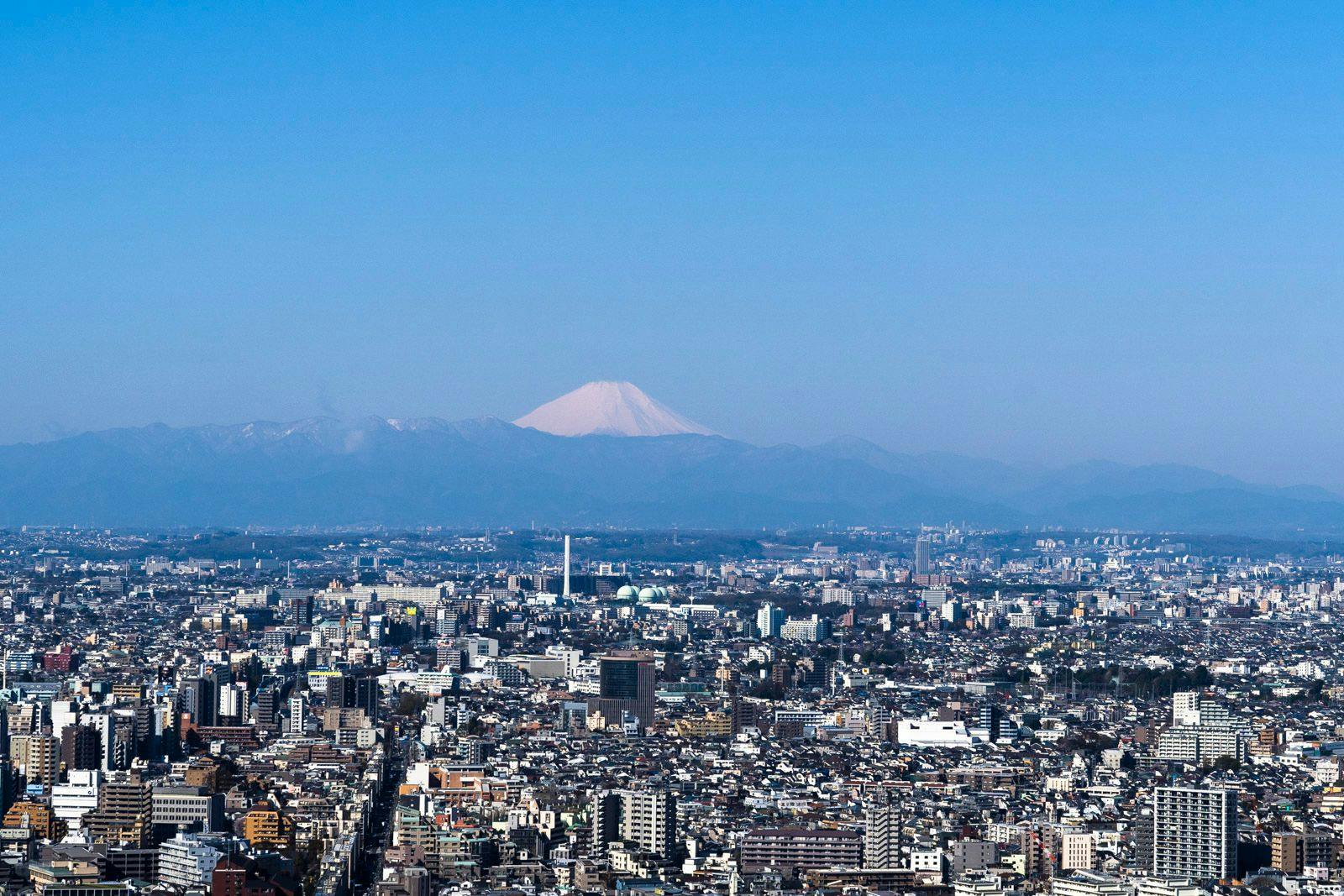 パーク ハイアット 東京