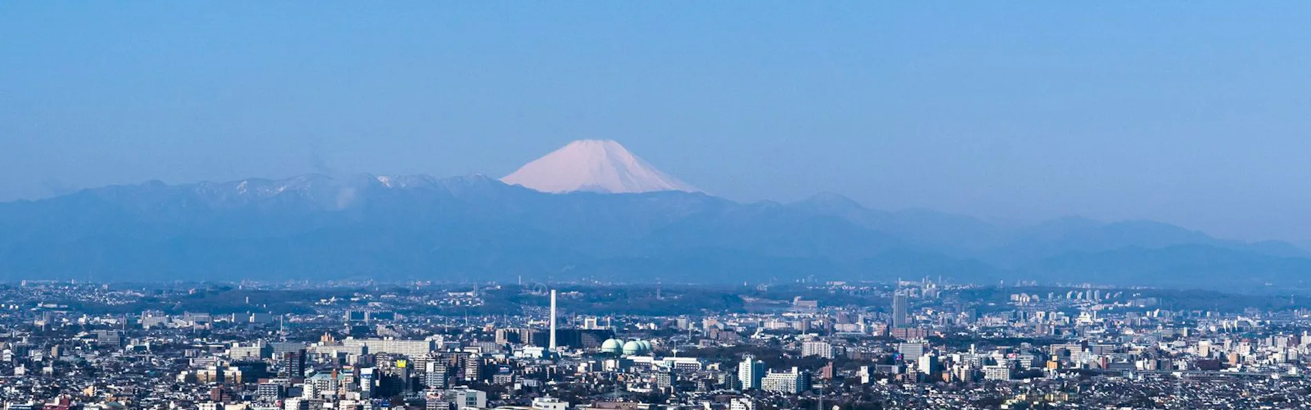 パーク ハイアット 東京
