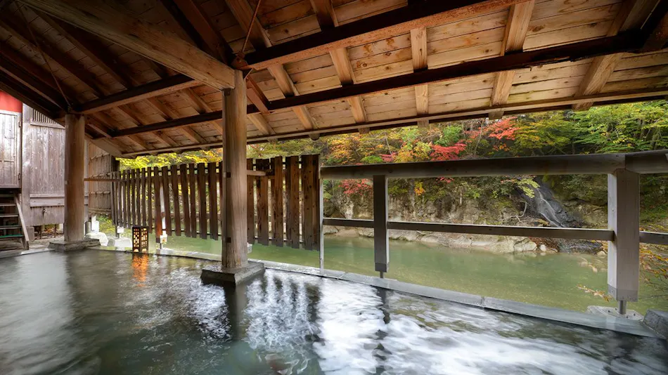 Hotel Sakan(Akiu Hotspring,Sendai)
