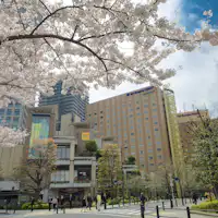 Hotel Metropolitan Edmont di musim sakura