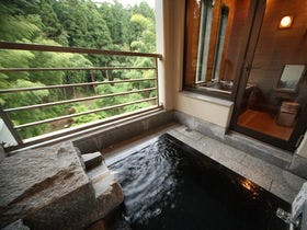 雨情の宿　新つた