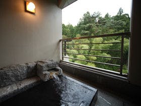 雨情の宿　新つた
