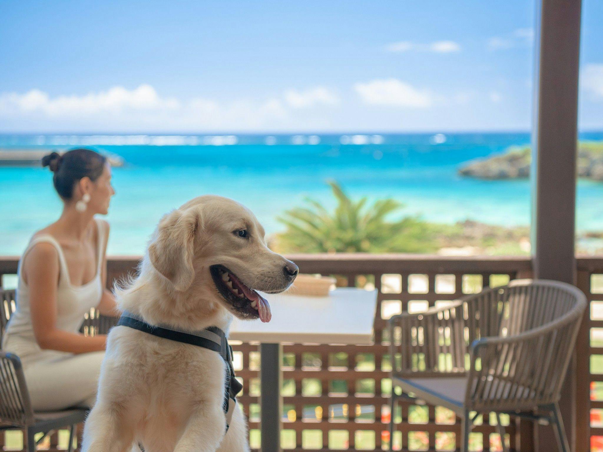 Hotel Breeze Bay Marina