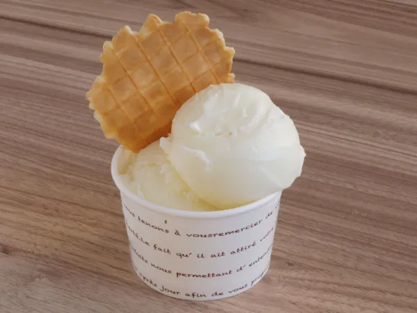 <ビュッフェ>仲良しふたり旅!心に残る記念日を恋人の聖地で<プレゼント付>