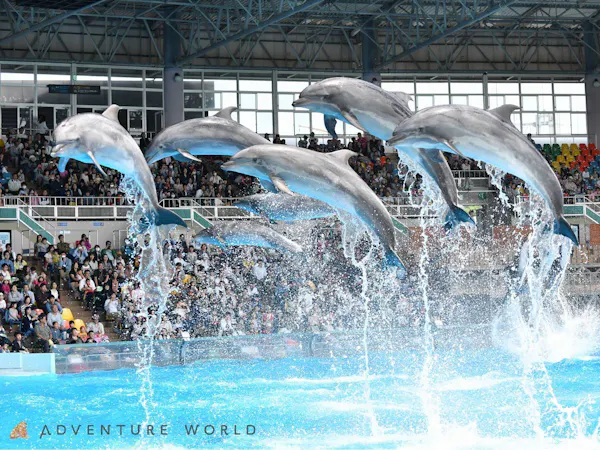 <บุฟเฟต์>สนุกกับ Adventure World ให้เต็มที่! แผนพร้อมบัตร 1 วัน (1DAY Ticket)