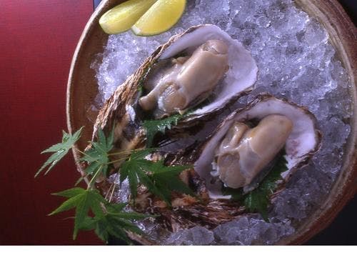 海のミルク　岩牡蠣