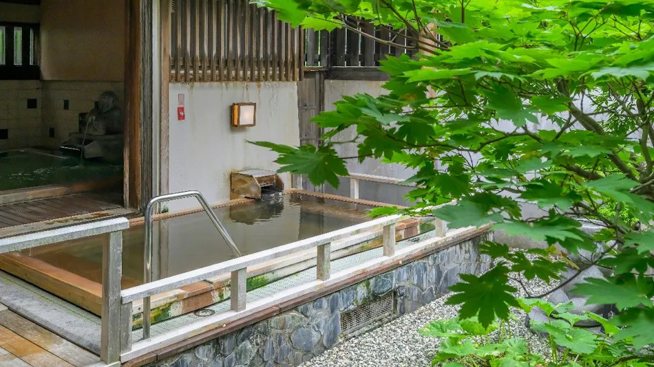 Hotel Seifu-en
