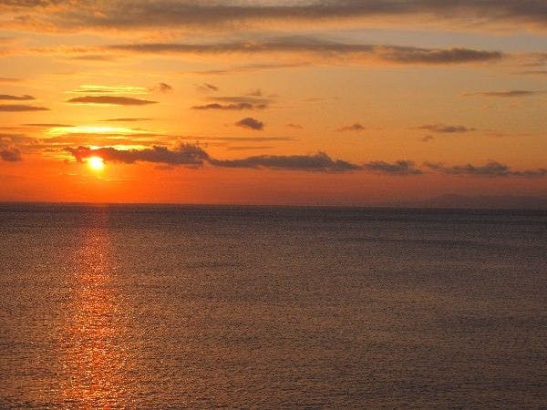 森の入り江の離れ宿　無雙庵枇杷