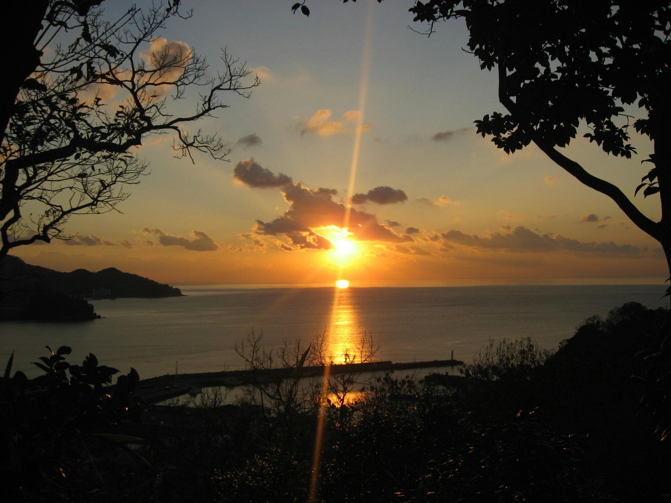 森の入り江の離れ宿　無雙庵枇杷