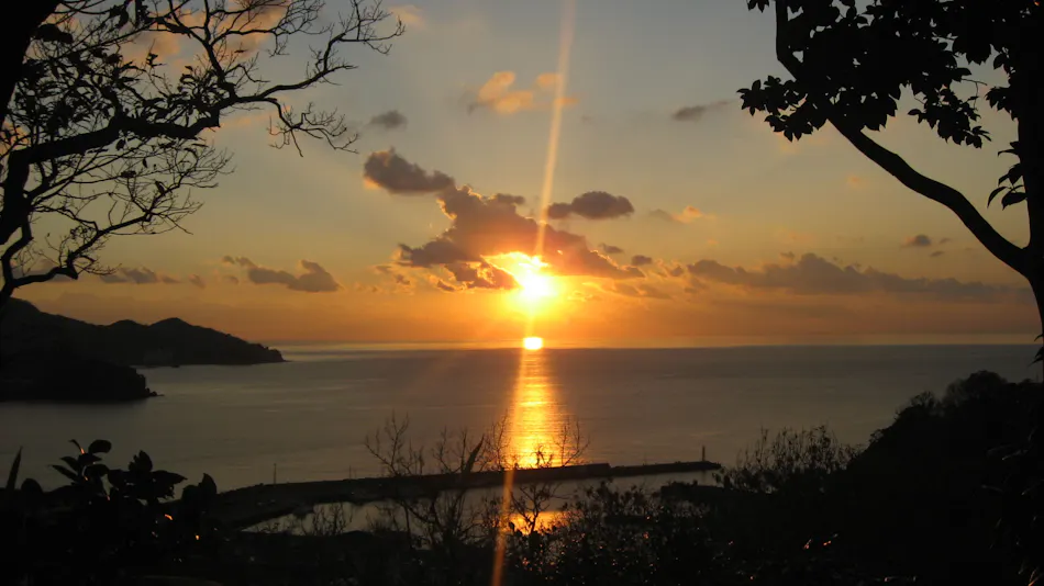 Detached Inn in the Forest Cove: Musouan Biwa