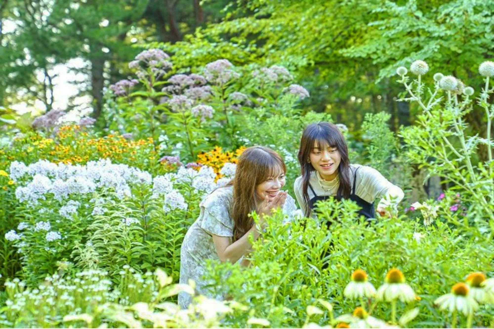 Shin Furano Prince Hotel