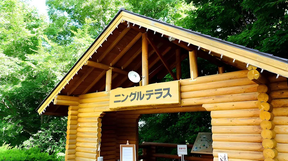 Shin Furano Prince Hotel
