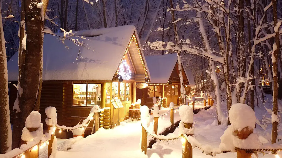 Shin Furano Prince Hotel