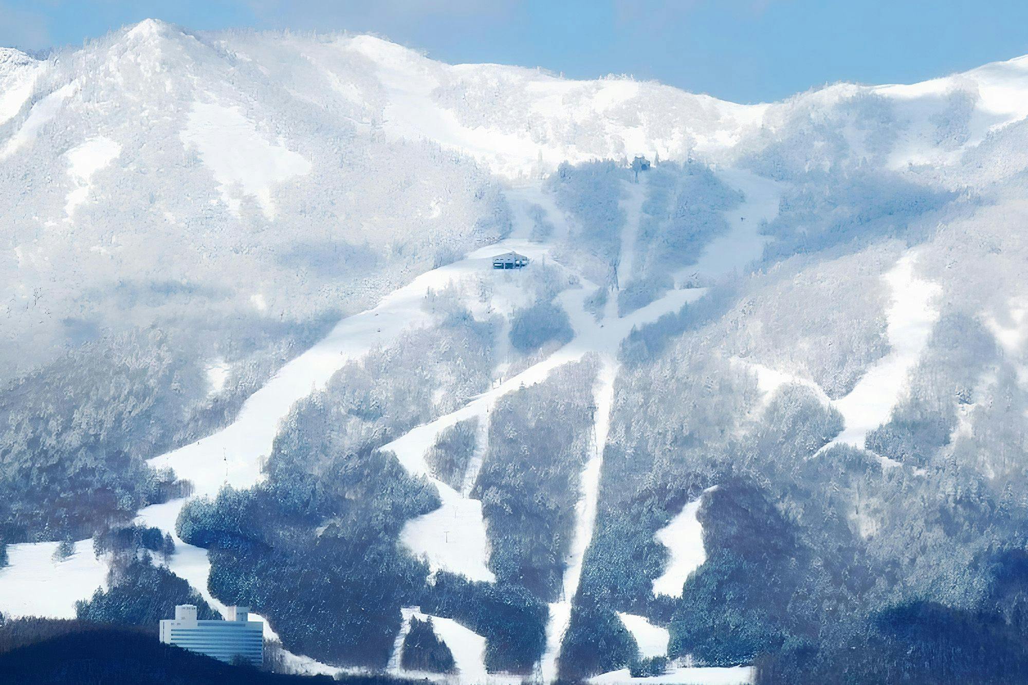 Shin Furano Prince Hotel