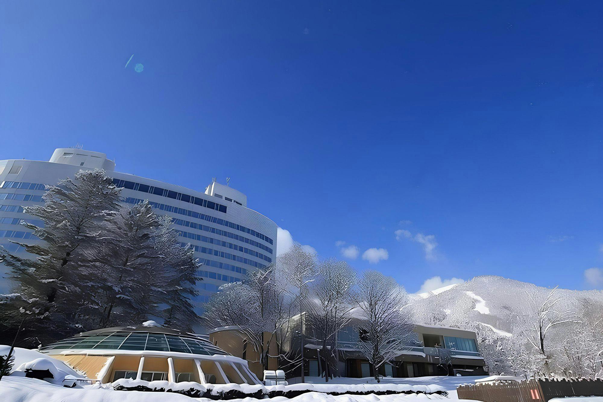 新富良野プリンスホテル冬季