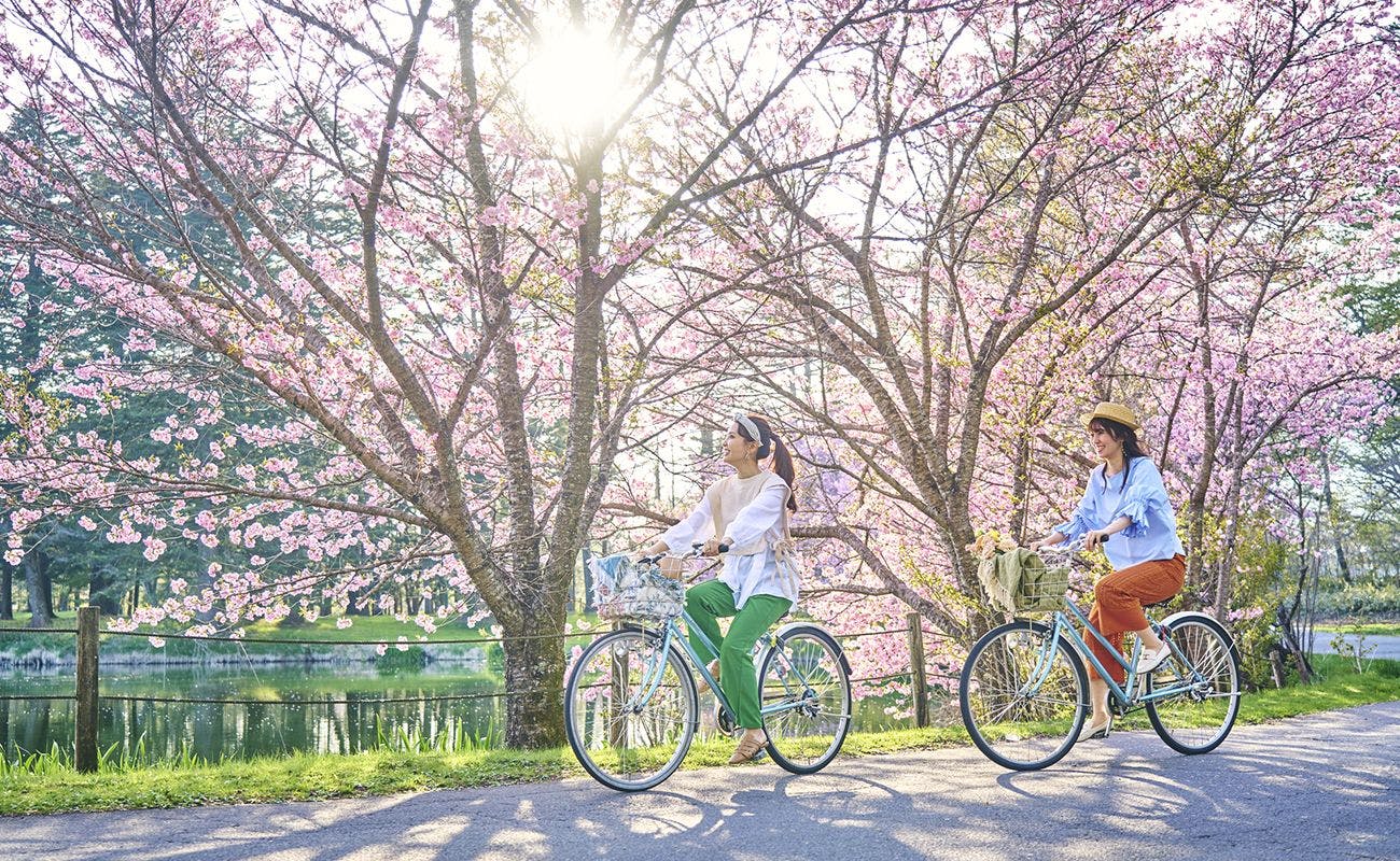 軽井沢プリンスホテル ウエスト