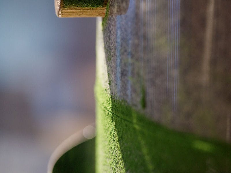 อินาโนะ ชะโบ