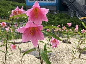 ホテル安比グランド本館＆タワー