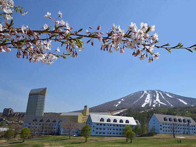 å¾ã¡ãã­ãæ¥ï¼