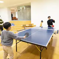 รีสอร์ทพาสสำหรับ 'ปิงปอง'