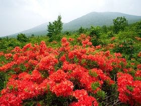 ホテル安比グランド本館＆タワー